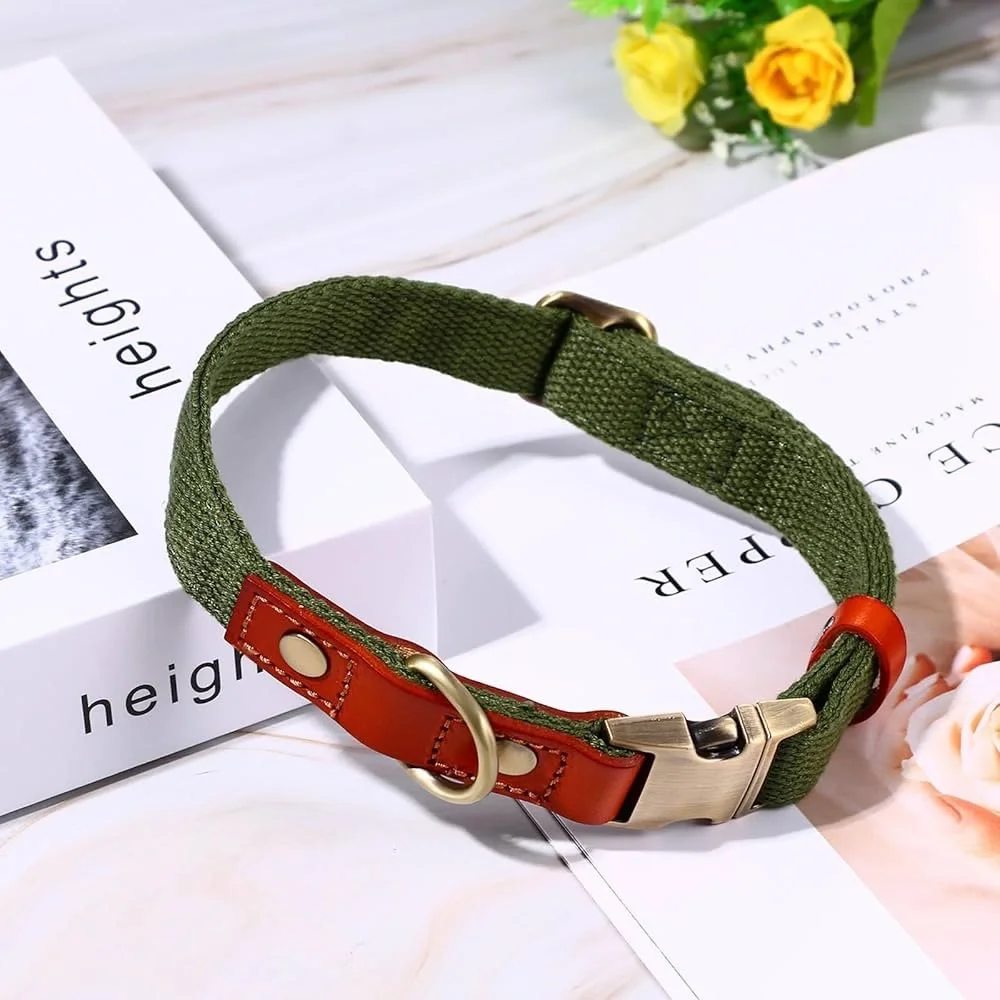 Ajustable Custom Dog Collar with Quick Release Buckle